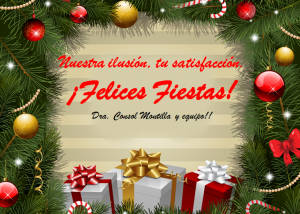 Felices Fiestas